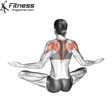 Seated Scapular Retraction Exercise