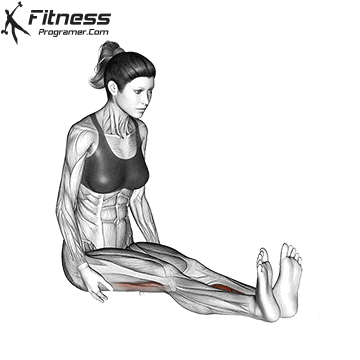 Seated Straight Leg Calf Stretch