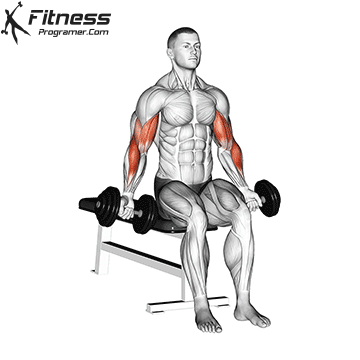 Seated Zottman Curl