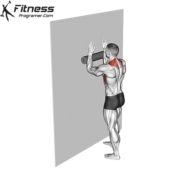 Serratus Wall Slide With Foam Roller