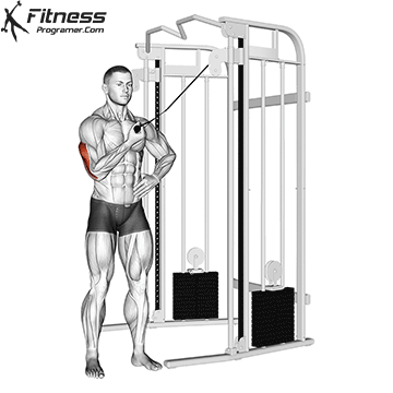 Side One Arm Reverse Pushdown