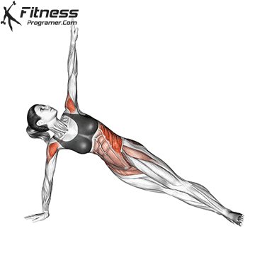 Side Plank Rotation