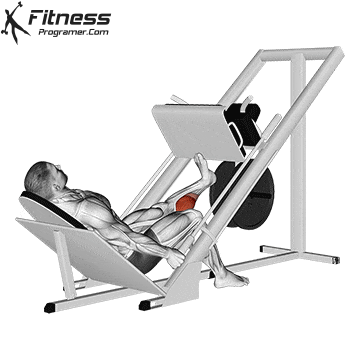 Single Calf Raise on Leg Press Machine