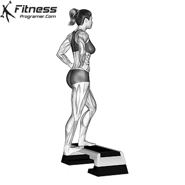 Single Heel Drop Calf Stretch