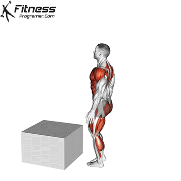 Single Leg Box Jump
