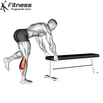 Single Leg Donkey Calf Raise