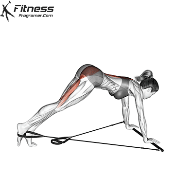 Single Leg Reverse Hyperextension | Gymstick