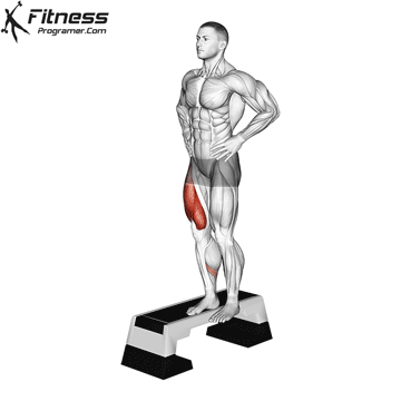 Single Leg Step Down