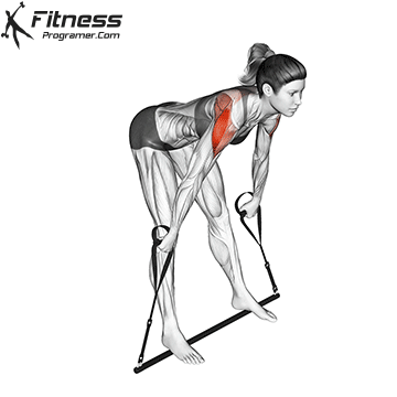 Skier | Gymstick