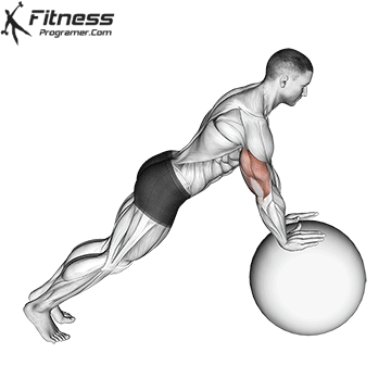 Stability Ball Push-Up