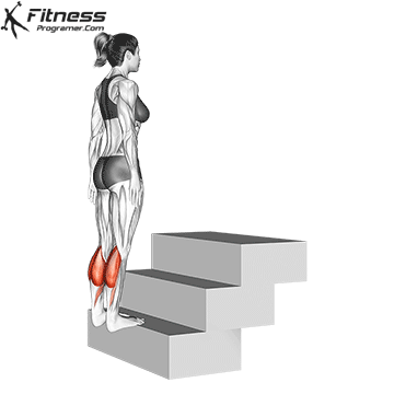 Bodyweight Standing Calf Raise