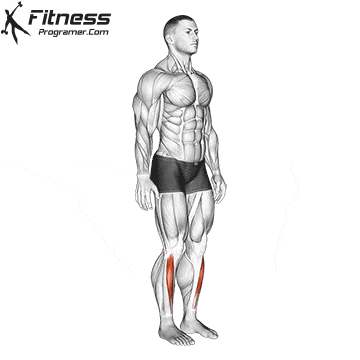 Standing Ankle Dorsiflexion