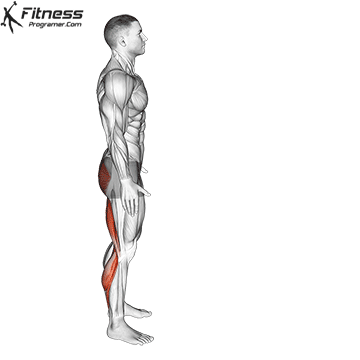 Standing Hamstring Stretch