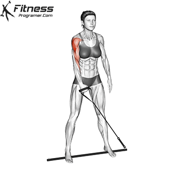 Single Arm Upright Row | Gymstick