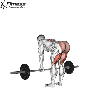 Stiff Leg Deadlift