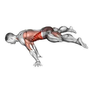 Straddle Planche