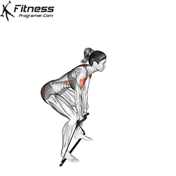 Swing | Gymstick