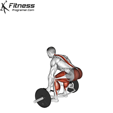 Trap Bar Jump Squat