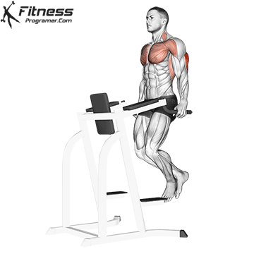 Triceps Dips