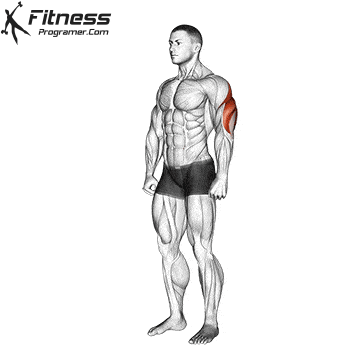 Standing Triceps Stretch