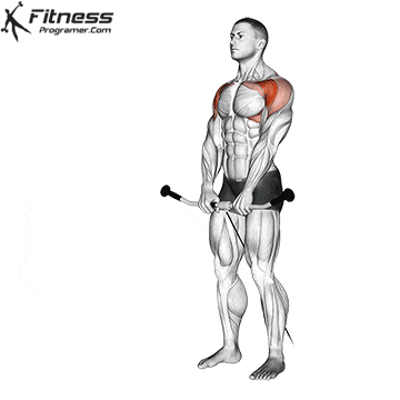 Two Arm Cable Front Raise