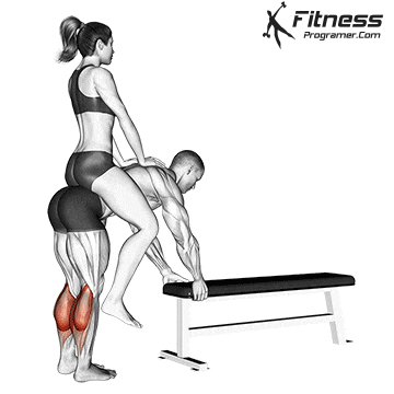Partner Donkey Calf Raise