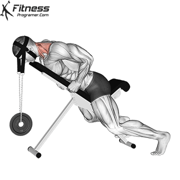 Weighted Lying Neck Extension (Neck Harness)
