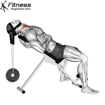 Weighted Lying Neck Flexion (Neck Harness)