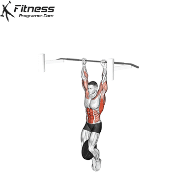 Weighted Muscle-Up