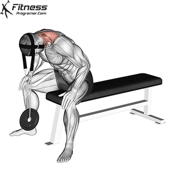 Weighted Neck Harness Extension