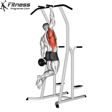 Weighted One Arm Pull-up