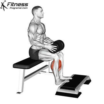 Weighted Seated Calf Raise
