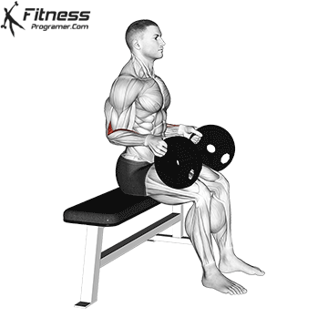 Weighted Neutral Wrist Curl