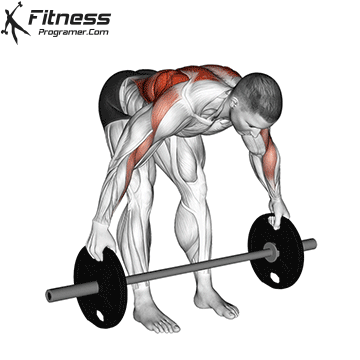 Wide Grip Alternate Barbell Bent Over Row Plus