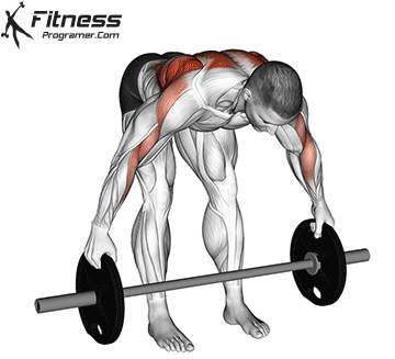 Wide Grip Barbell Bent Over Row Plus