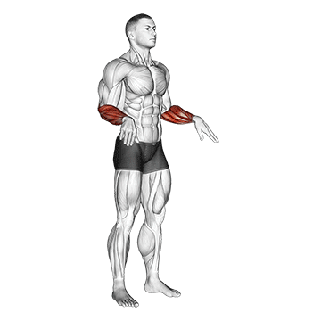 Dynamic Wrist Stretches