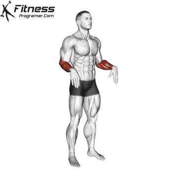 Wrist Rotations