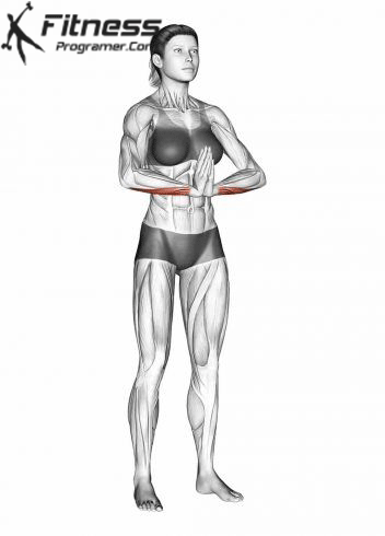 Wrist Stretch