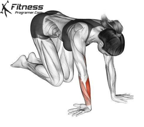Wrist Ulnar Deviator And Extensor Stretch