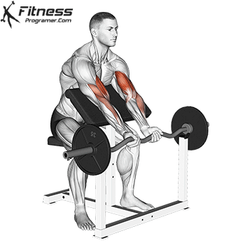 EZ Bar Preacher Curl