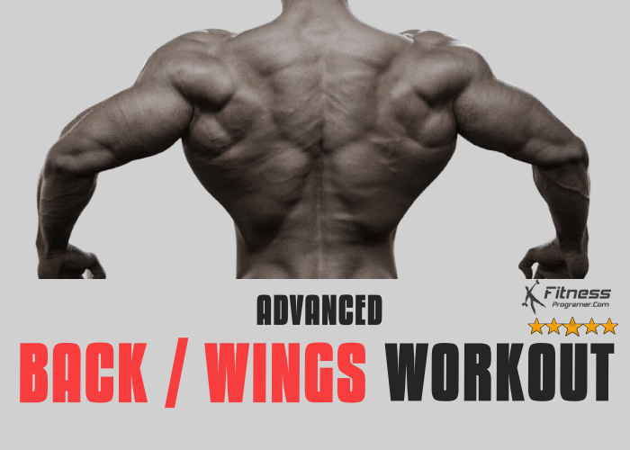 Ultimate Back Workout