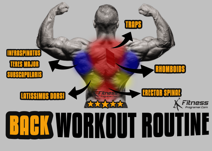 Back Workout For a Bigger Back