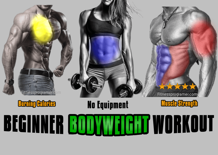 Beginner Bodyweight Workout