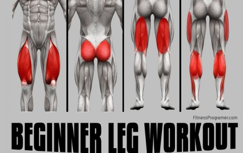 Beginner Leg Workout