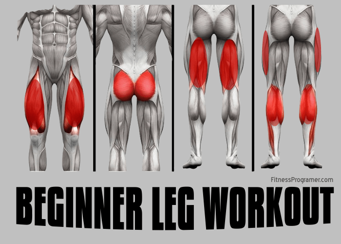 Beginner Leg Workout