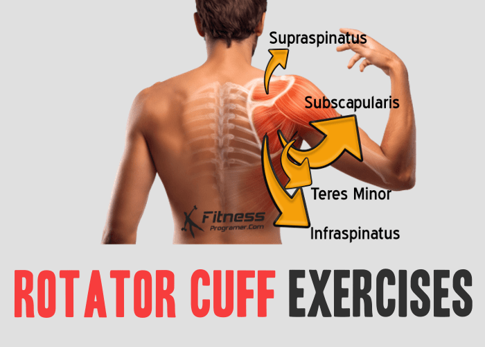 The Best Rotator Cuff Exercises