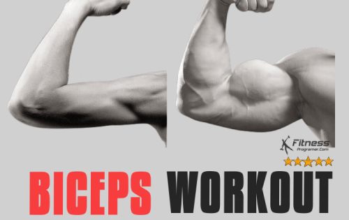 Biceps Workout