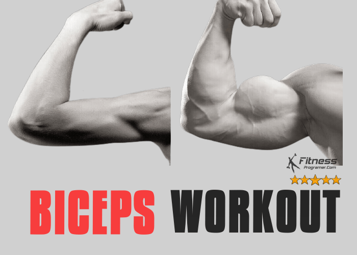 Biceps Workout