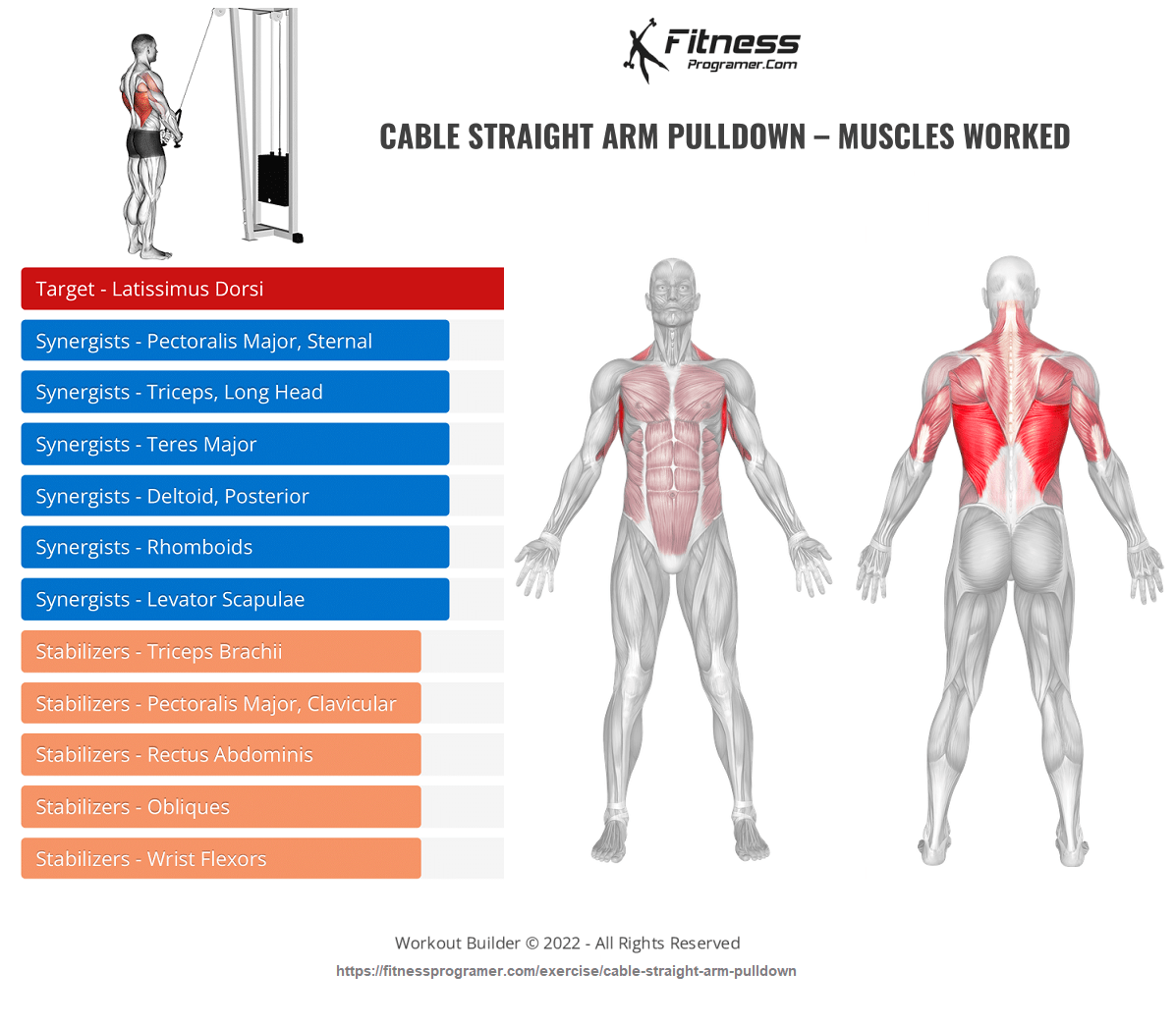 Cable Straight Arm Pulldown Muscles Worked