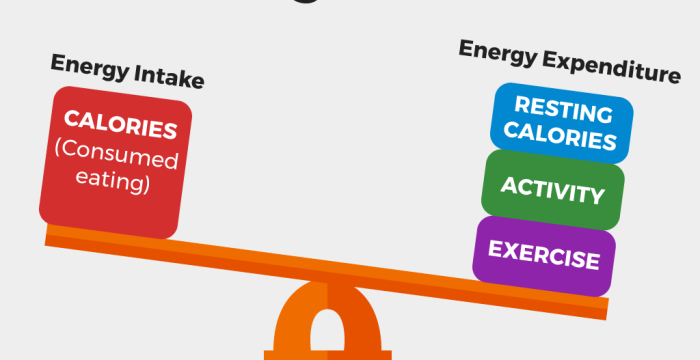 Understanding Energy and Calories for Weight Loss
